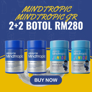 2 Mindtropic dan 2 Mindtropic JR